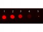 Mouse IgG2b isotype control Phycoerythrin